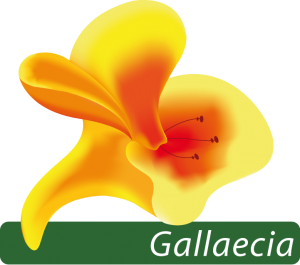 gallaecia