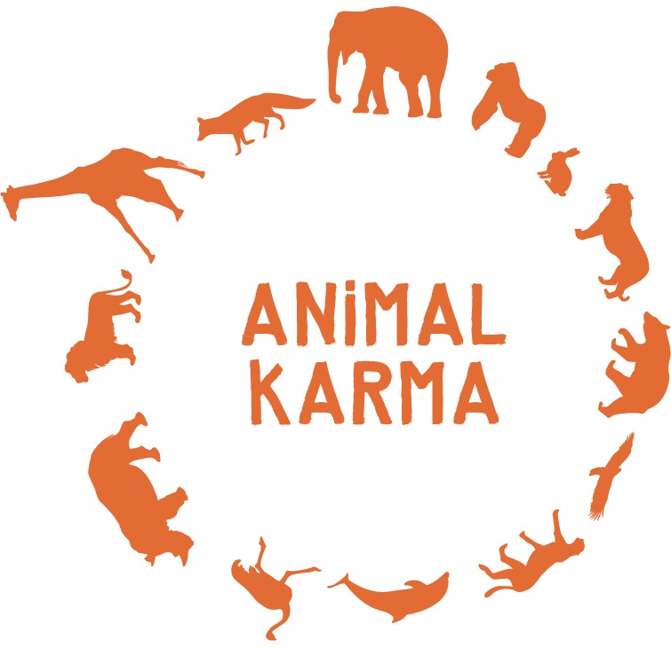 Animal Karma