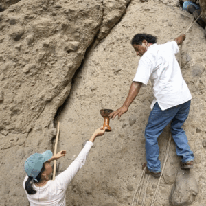 Captura de pantalla 2025-08-01 a la(s) 4.50.29 p.m.