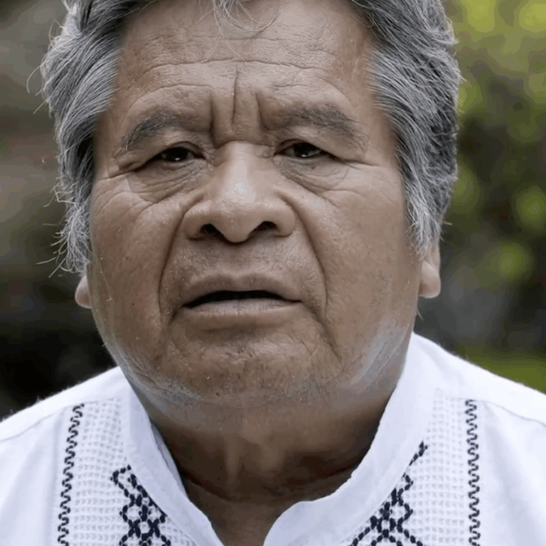 Captura de pantalla 2025-08-05 a la(s) 1.01.41 p.m.